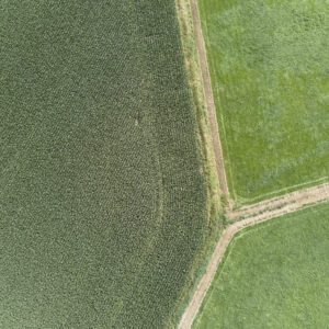 99 Meter vertikal No 0000 | YPSILON