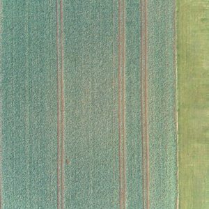 99 Meter vertikal No 0004 | Spuren im Feld