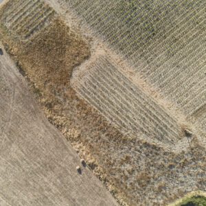 99 Meter vertikal No 0007 | zwei Punkte