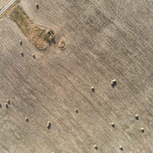 99 Meter vertikal No 0009 | neunzehn Punkte