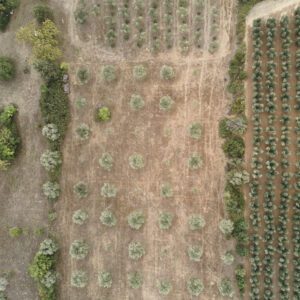 99 Meter vertikal No 0016 | ungleiches Muster