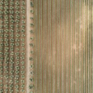 99 Meter vertikal No 0017 | Gleichmäßigkeit