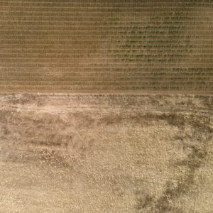 Abstrakte Luftaufnahme, Symmetrie der Natur vertikal aus 99 Metern Höhe fotografiert, Fine Art, 99 Meter Print von Thorsten Springer