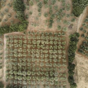 99 Meter vertikal No 0021 | die Struktur