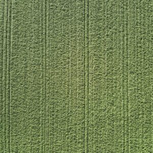 Abstrakte Luftaufnahme von einem grünen Feld mit Treckerspuren, Symmetrie der Natur vertikal aus 99 Metern Höhe fotografiert, Fine Art, 99 Meter Print von Thorsten Springer