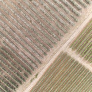 99 Meter vertikal No 0081 | Exakt mit Störung