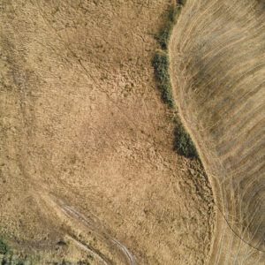 Abstrakte Luftaufnahme von abgeernteten Feldern in der Toskana, Symmetrie der Natur vertikal aus 99 Metern Höhe fotografiert, Fine Art, 99 Meter Print von Thorsten Springer