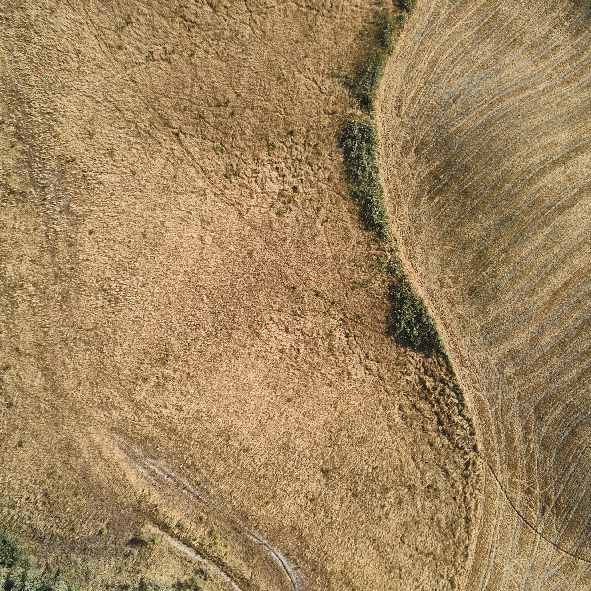 Abstrakte Luftaufnahme von abgeernteten Feldern in der Toskana, Symmetrie der Natur vertikal aus 99 Metern Höhe fotografiert, Fine Art, 99 Meter Print von Thorsten Springer
