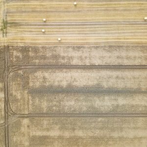 99 Meter vertikal No 0273 | noch nicht fertig!