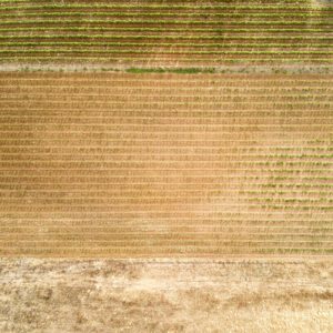 99 Meter vertikal No 0333 | ein Viertel Natürlichkeit