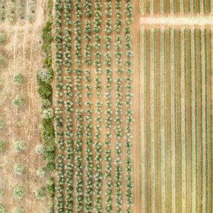 99 Meter vertikal No 0350 | Linien treffen auf Punkte