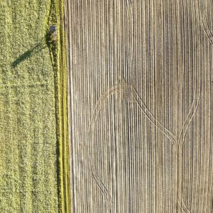 99 Meter vertikal No 0442 | Ausbruch