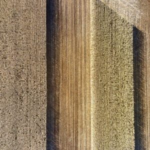 99 Meter vertikal No 0450 | Exakt mit Diagonale