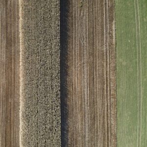 Abstrakte Luftaufnahme von einem Feld, Symmetrie der Natur vertikal aus 99 Metern Höhe fotografiert, Fine Art, 99 Meter Print von Thorsten Springer