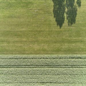 99 Meter vertikal No 0018 | Störung