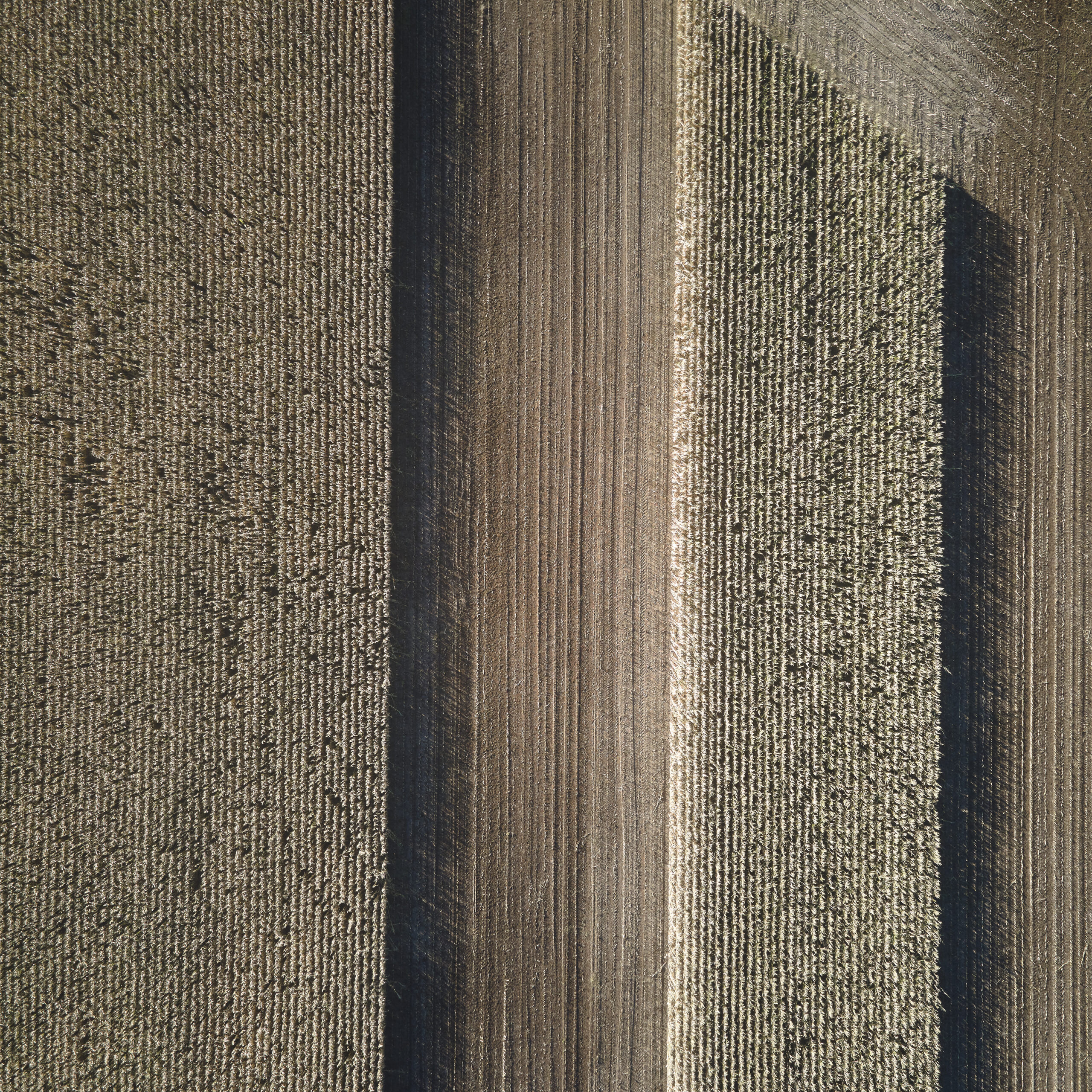 aalg. Geschäftsbed www.thorstenspringer.de